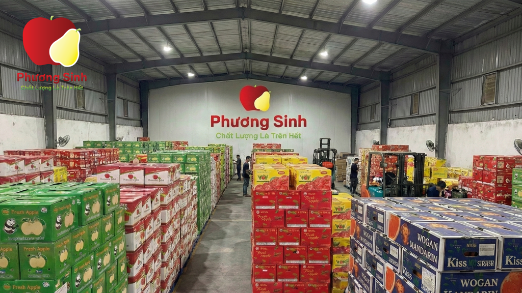 Kho sỉ Lê và Táo nhập khẩu Phương Sinh cam kết bảo vệ đại lý.