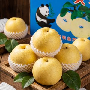 lê gấu trái cây phương sinh