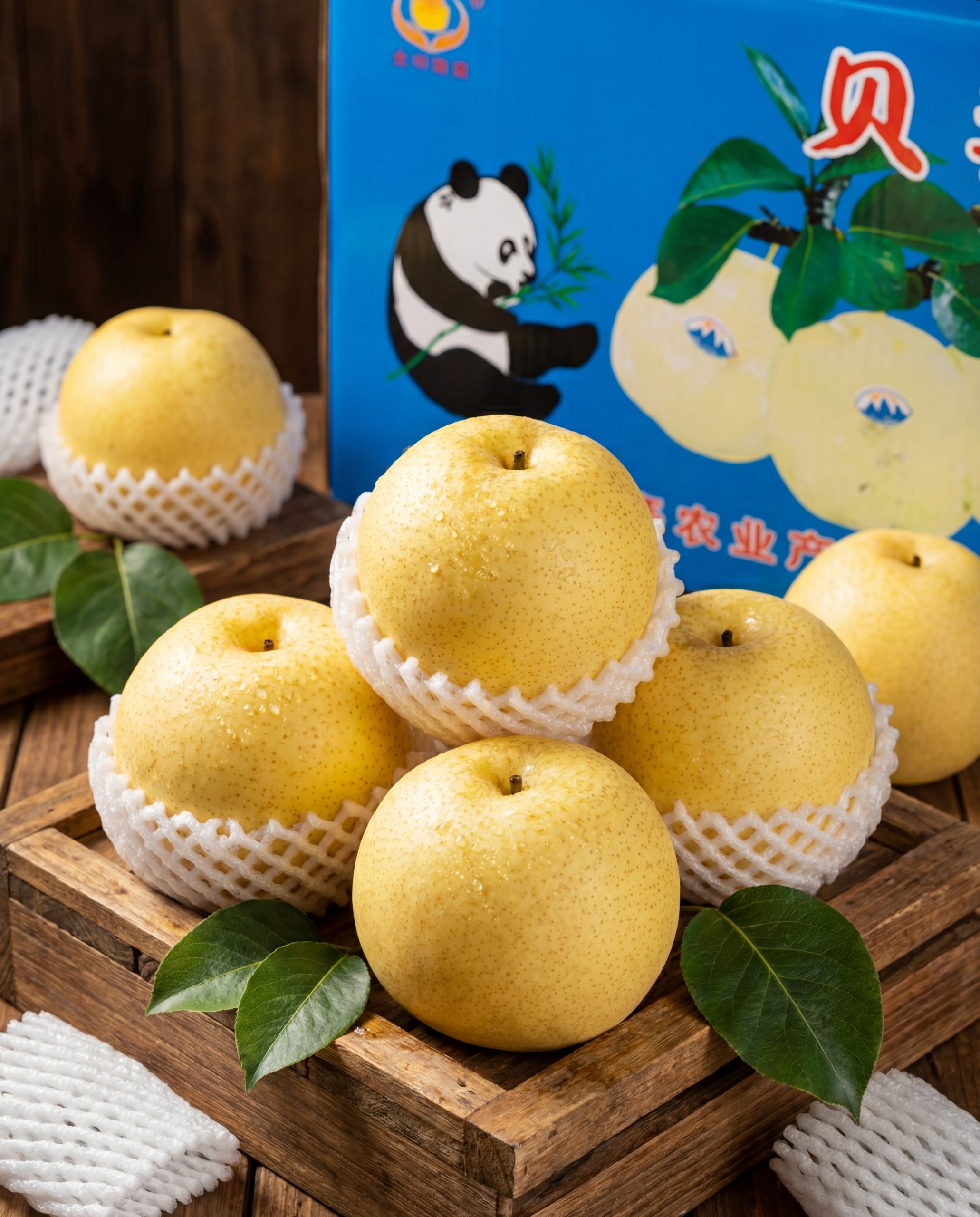 Lê Gấu