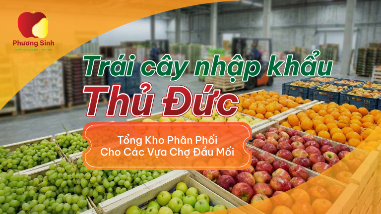 Trái Cây Nhập Khẩu Thủ Đức: Tổng Kho Phân Phối Cho Các Vựa Chợ Đầu Mối